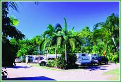 Tropical Hibiscus Caravan Park - Whitsundays Accommodation